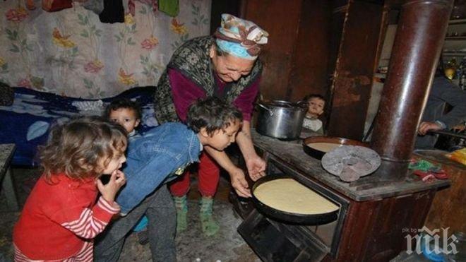 Ще обучават ромите в Ловешко как да се хранят здравословно
