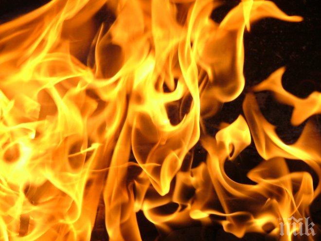 Огнен ад! Старица изгоря при пожар в Пазарджишко