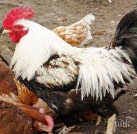 За шумни петли - 3000 долара глоба!