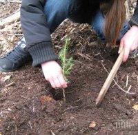 Залесителна акция ще се проведе в Пловдив


