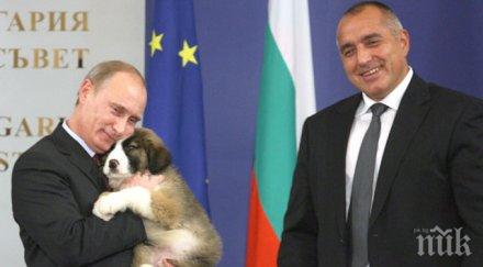 путин кучето бойко лъснаха руски шоколад видео