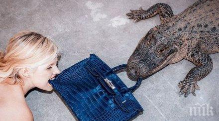 ретро чанти млн долара отиват търг