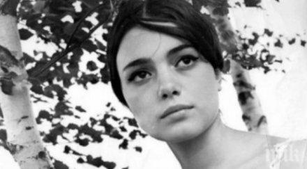 наша миска 1967 подлуди света снимки