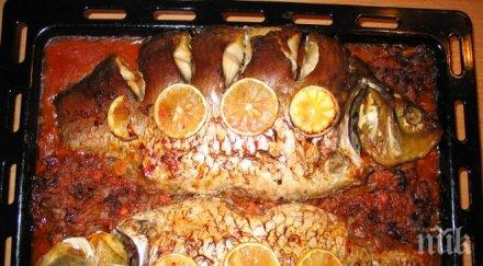 раздават 300 шарана без пари съединение