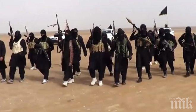 50 мирни жители загинаха при въздушните атаки срещу Ислямска държава