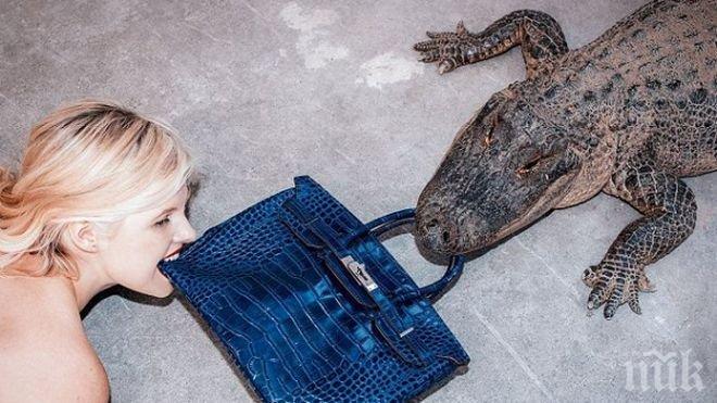 Ретро чанти за 1 млн. долара отиват на търг