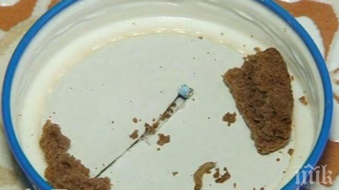 Излизат лабораторните изследвания на бисквитите с червеи