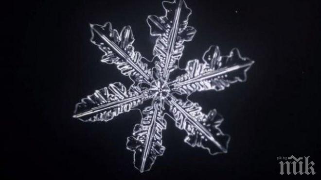 Нежно видео показва как се ражда една снежинка