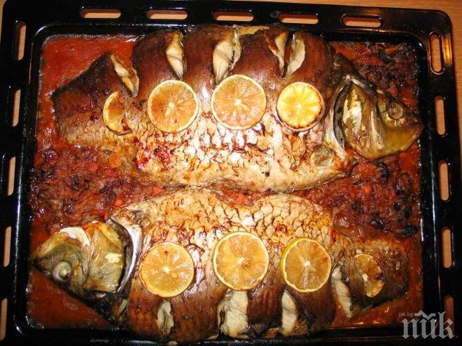 Раздават 300 шарана без пари в Съединение