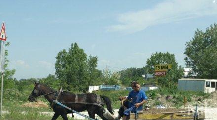 шофьор удари каруцар изпреварване