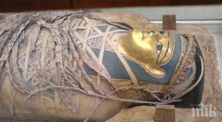 откриха египетска мумия бижута