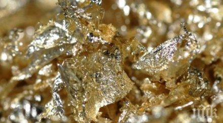 учени златното руно съществува