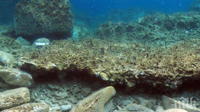 Археолози откриха подводен Помпей в Егейско море