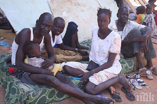 132 жертви на епидемията от холера в Хаити 
