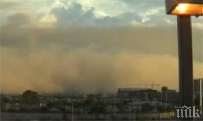 Щети за над 80 млн. долара нанесе бурята в  Австралия