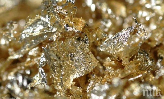 Учени: Златното руно съществува 