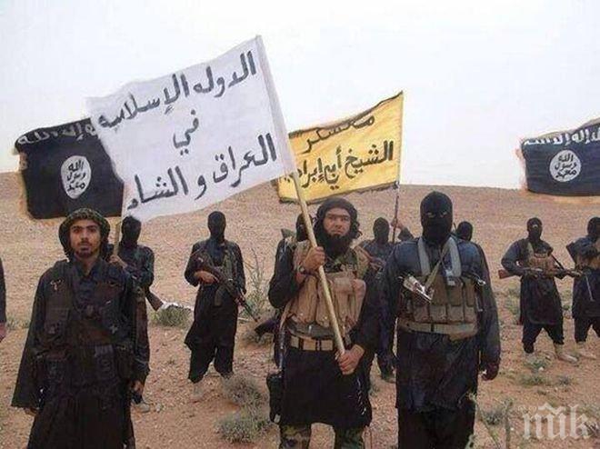 Правителството на Египет прие проект за нов антитерористичен закон