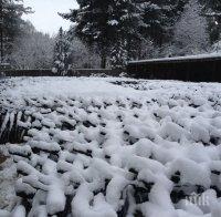Зимата се връща! Сняг ще затрупа половин България