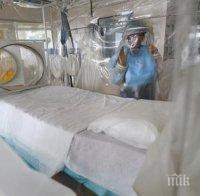 Русия регистрира първи случай на треската Чикунгуня