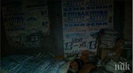 трогателно бивш шампион бокс улицата дели храната кучета