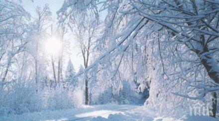 дете замръзна път училище