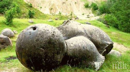 живи камъни плодят румъния