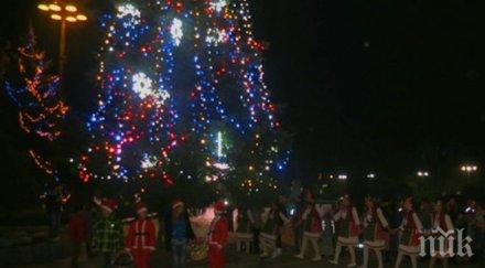 озари коледната елха софия