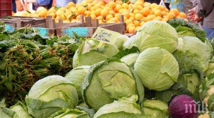 дъждовете съсипали реколтата зеле цената скача двойно