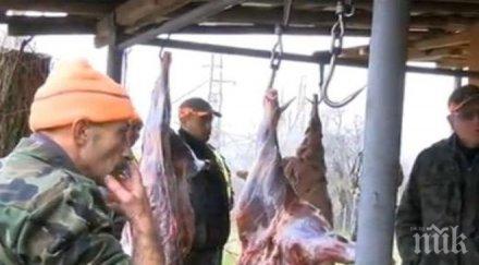 ужас бракониери разстреляха цяло стадо благородни елени