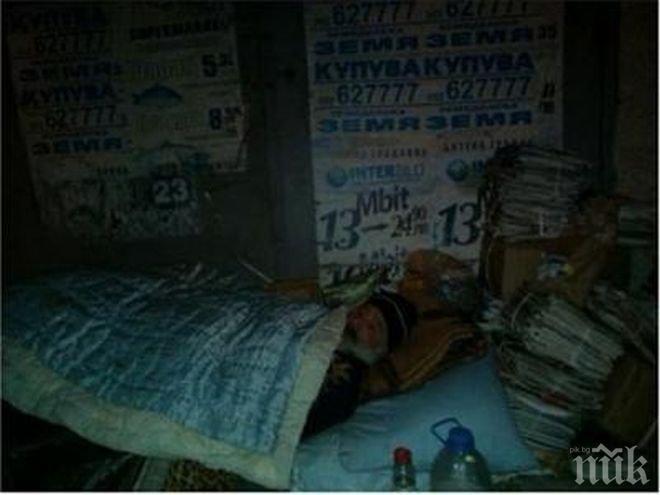 Трогателно! Бивш шампион по бокс живее на улицата, дели храната си с 2 кучета 
