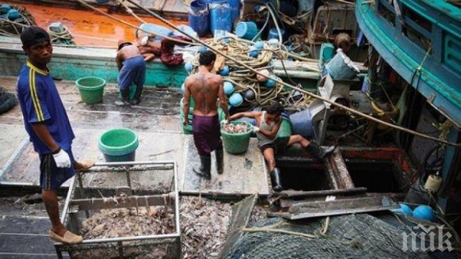 Във Великобритания живеят около 13 000 роби