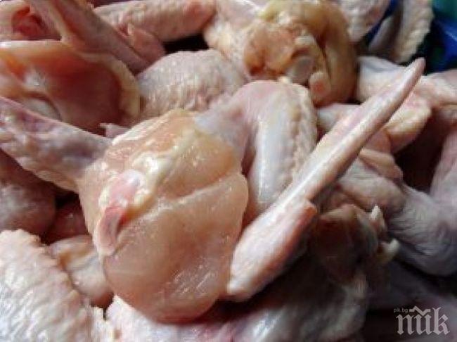 Нов случай на птичи грип в Холандия