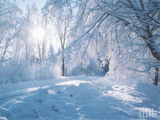 Дете замръзна на път от училище