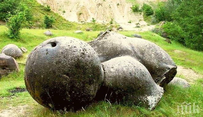 Живи камъни се плодят в Румъния
