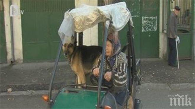 Шоу! Баба на 81-години прави фурор в Благоевград с бъгито си