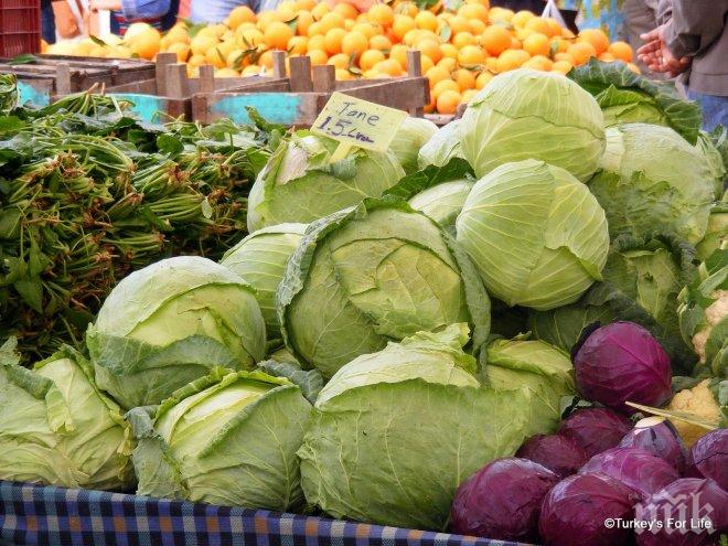 Дъждовете са съсипали реколтата от зеле, цената му скача двойно