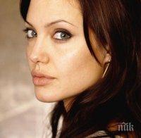 Извънредно! Анджелина Джоли е катастрофирала