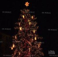 Пуснаха светлините на коледната елха в Добрич