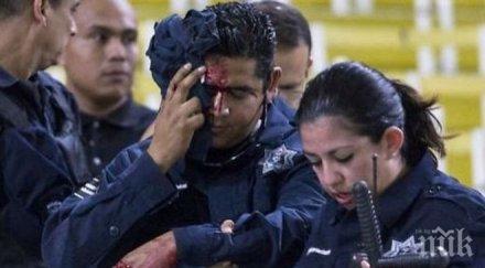 екшън погледа стоичков фенове бият стрелят мач мексико видео