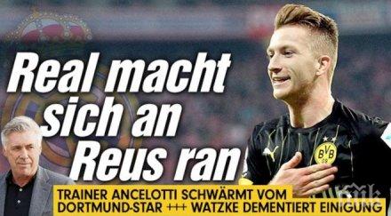 реал мадрид поиска марко ройс