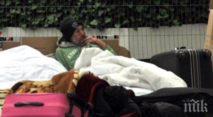 студът почти напълни приютите бездомни