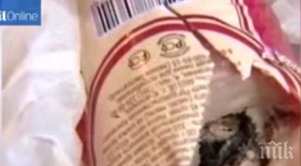 ужас мъж намери мишка салам отказа десетки месото видео