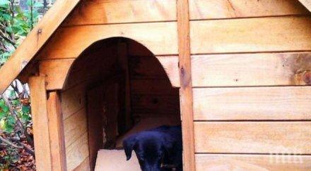 шок откраднаха кученцето парламента талисманът депутатите отвлечен нощта после върнаха