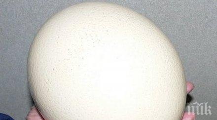 варените яйца полезни здравето предпазват рак инфаркт