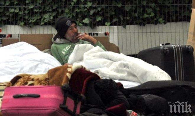 Студът почти напълни приютите за бездомни 