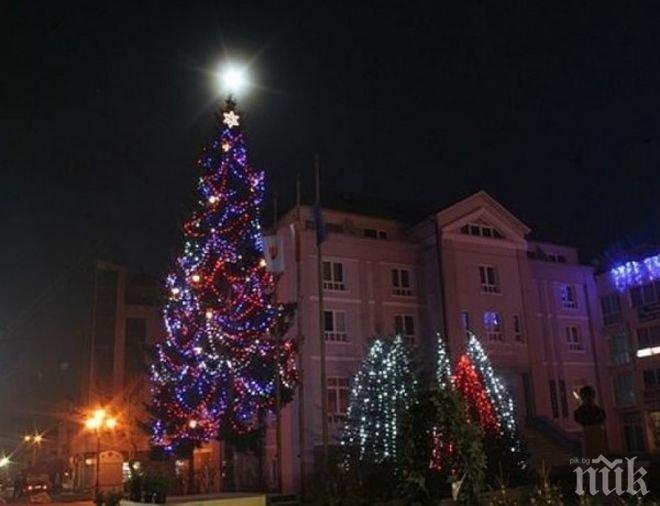 10 000 лампички върху жива елха ще запали кметът на Разлог