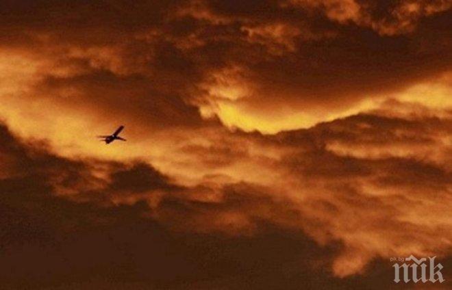 Космическа компания търси агроном, не уточнява дали ще работи на Марс