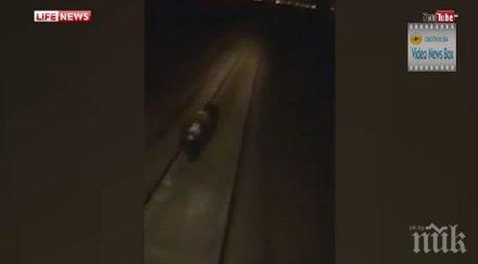 руски машинисти прегазиха мечок локомотив прокуратурата разследва видео