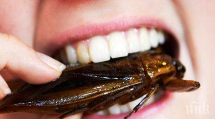 паяците хлебарките жизненоважни хората