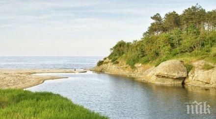 река арда заля път кърджали